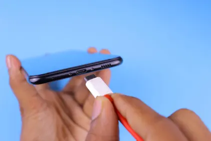 Casino Dogs Fortune Application mobile